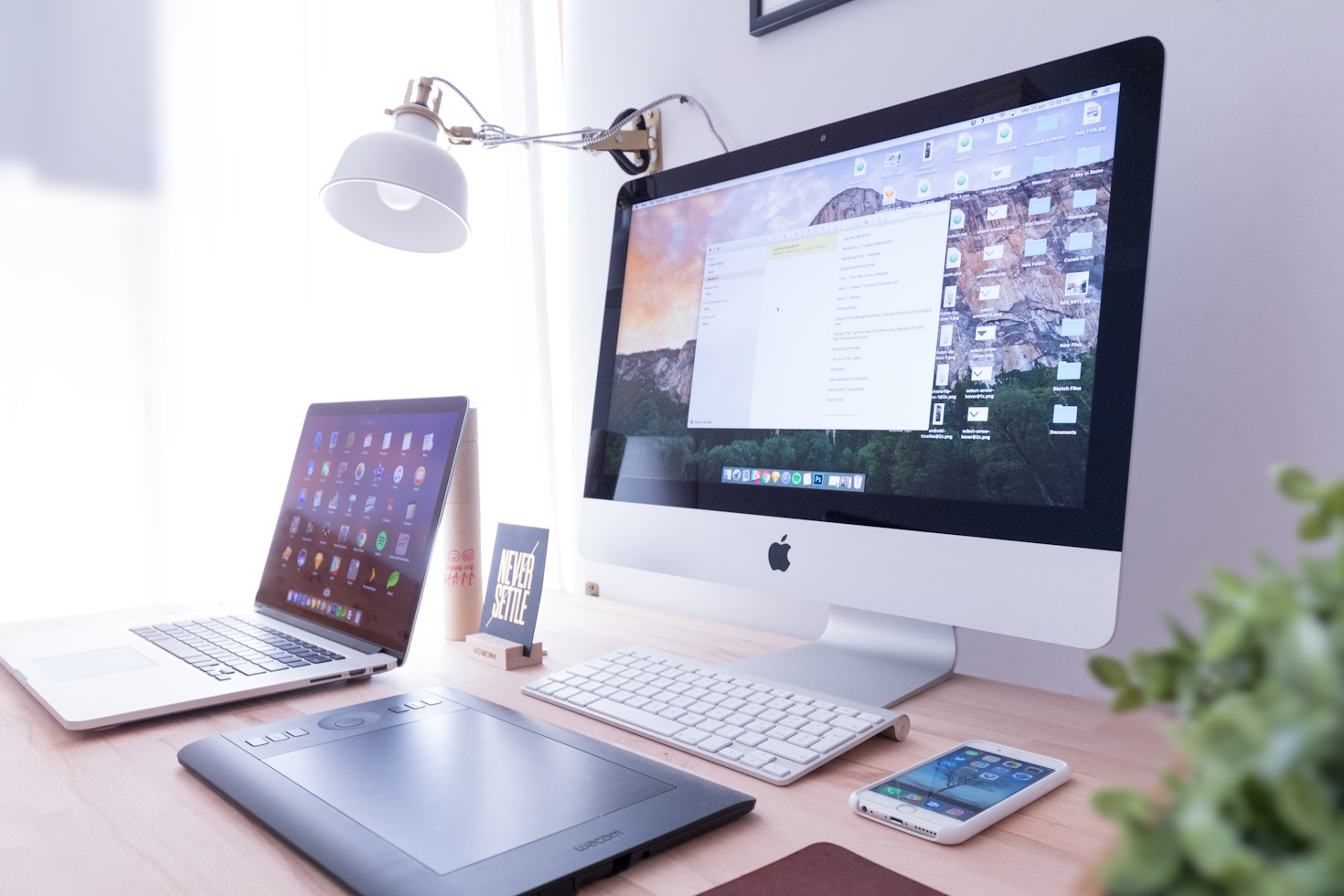 Exploring the Future of Shared Insights